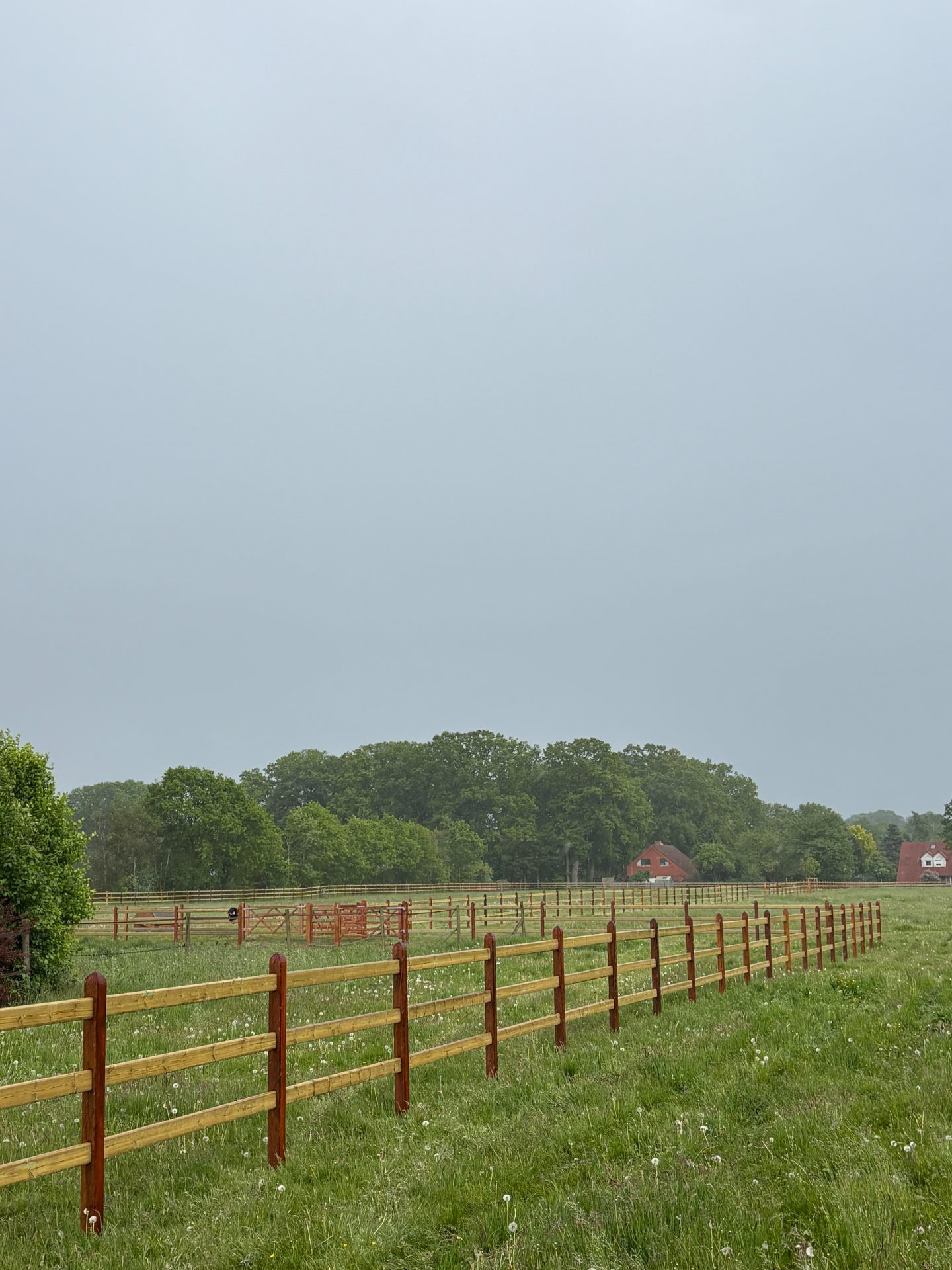 Prairie brumeuse avec clôture en bois