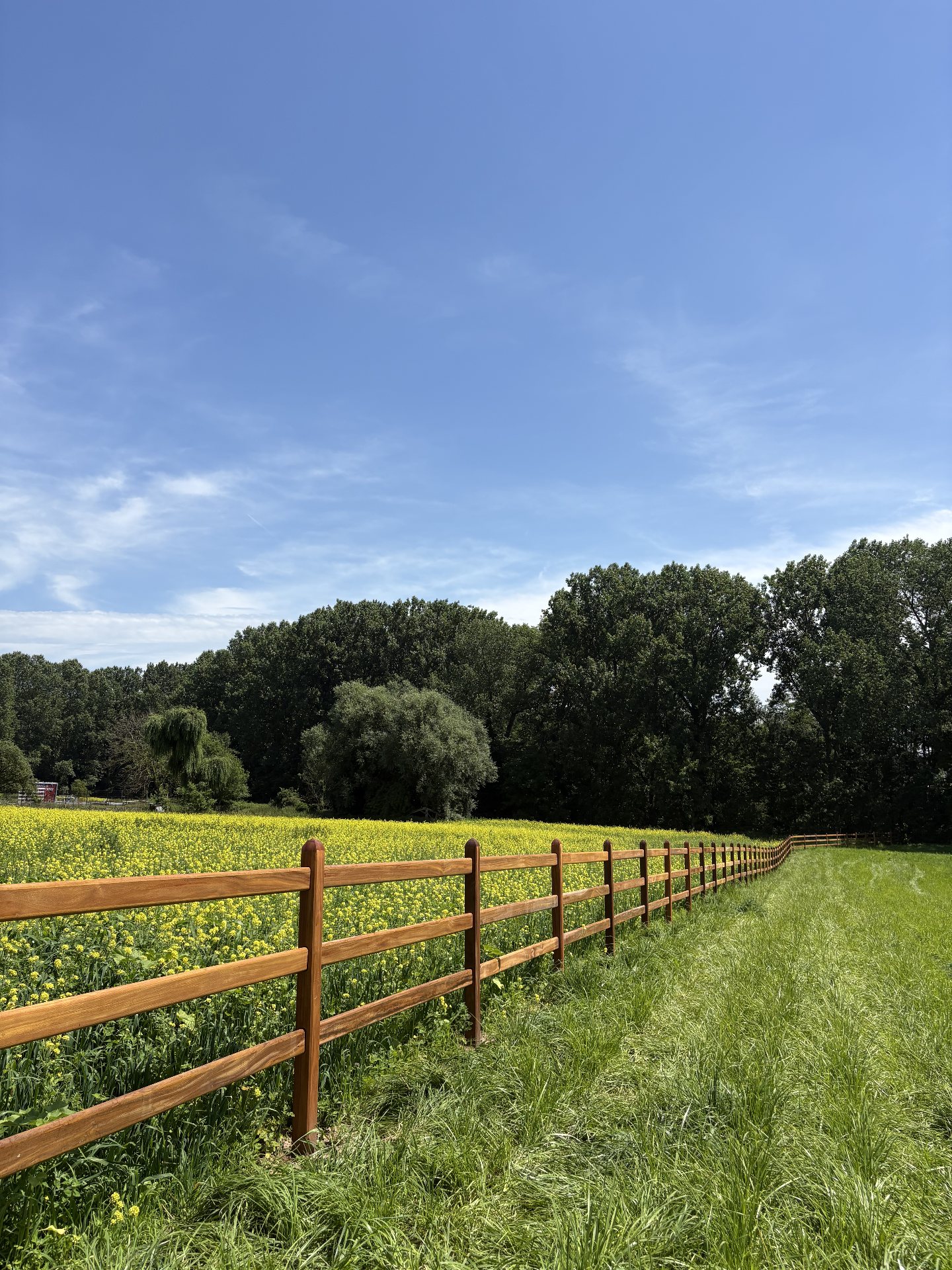 Okan hardwood horse fencing