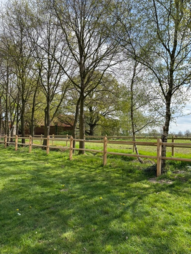 Clôture de paddock à poteaux ronds