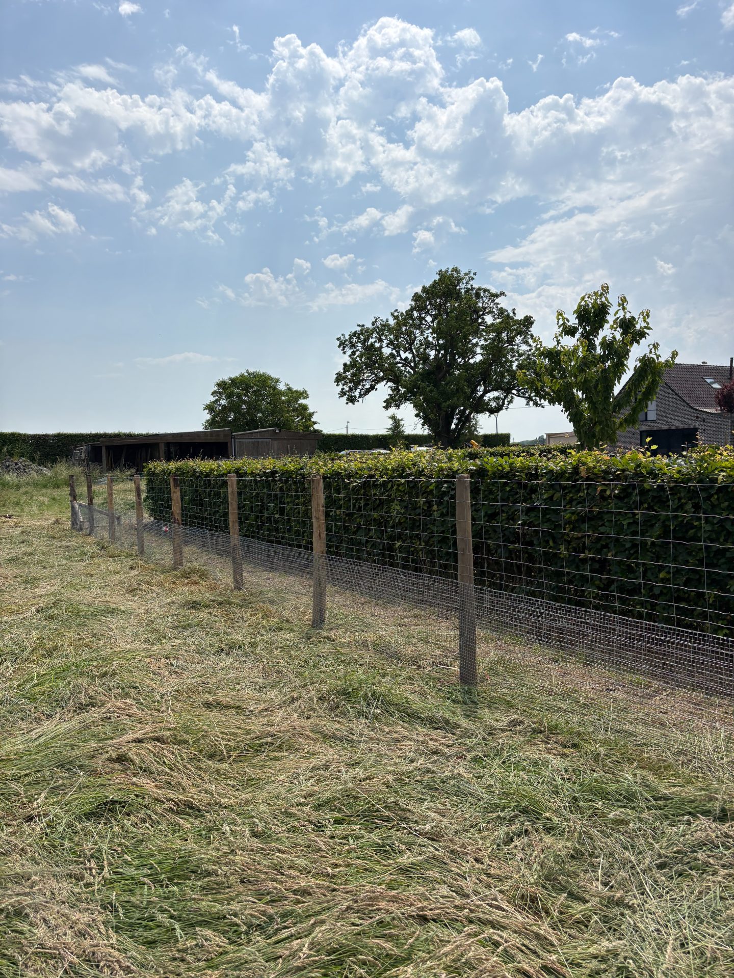 Clôture grillagée de jardin le long d’une haie